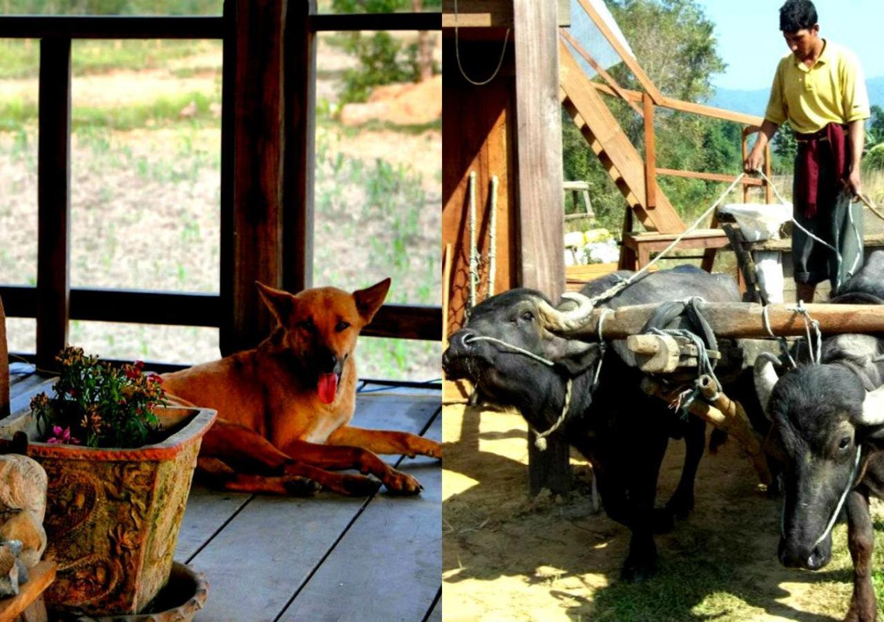 Shanta Ghar A Rustic Guesthouse شيتوان المظهر الخارجي الصورة